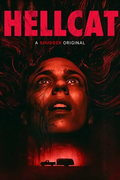 Фильм Кошка в мышеловке (2025)